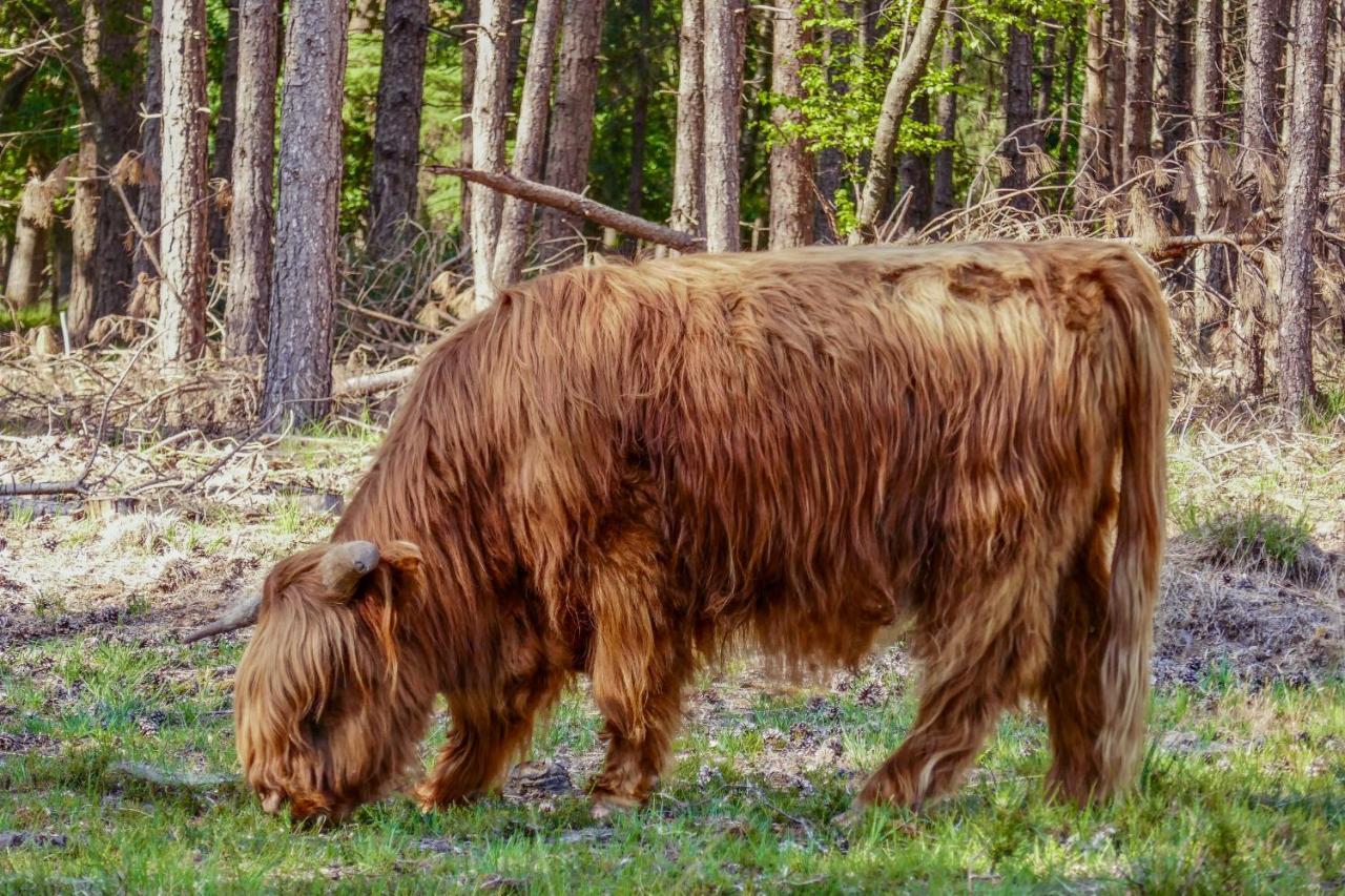 Op Dn Kreijtenberg Milheeze Exterior foto